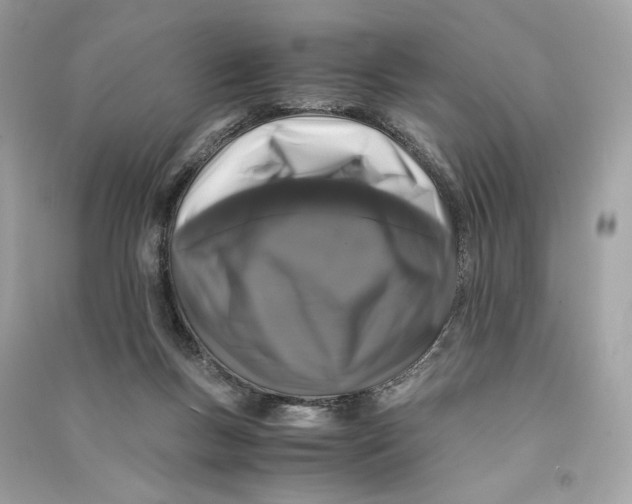 X0000090760167200708101755