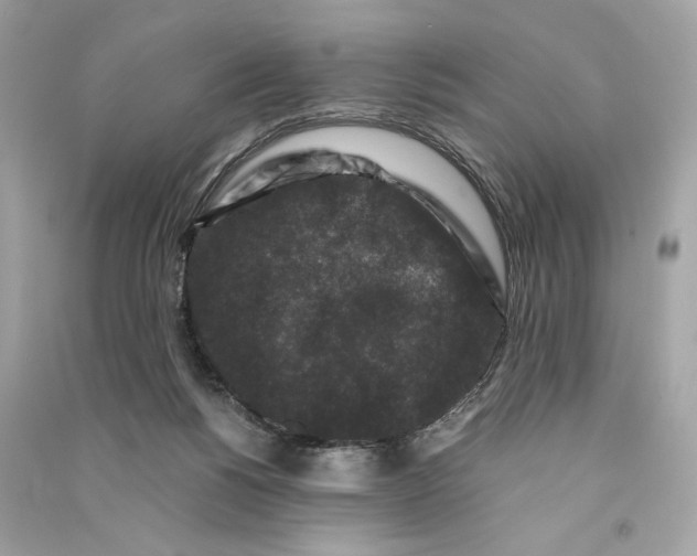 X0000090760168200708101755