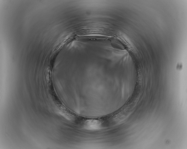 X0000090760169200708101755