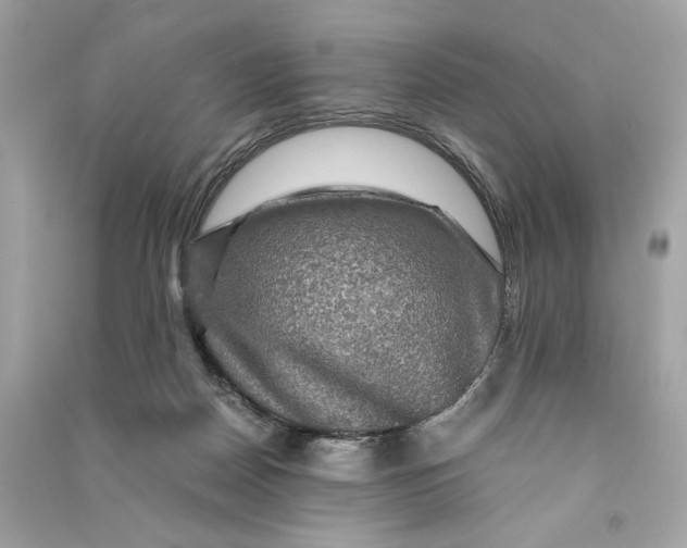 X0000090760170200708101755