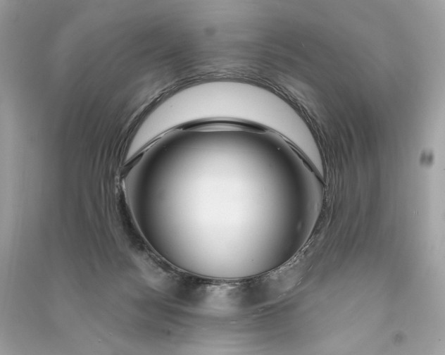 X0000090760172200708101755