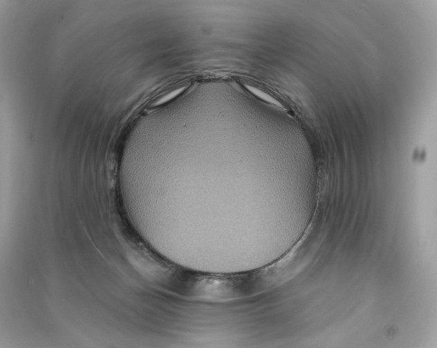 X0000090760174200708101755