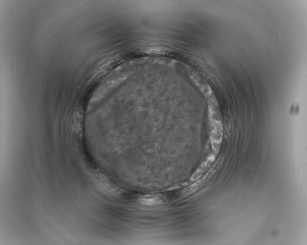 X0000090760175200708101755