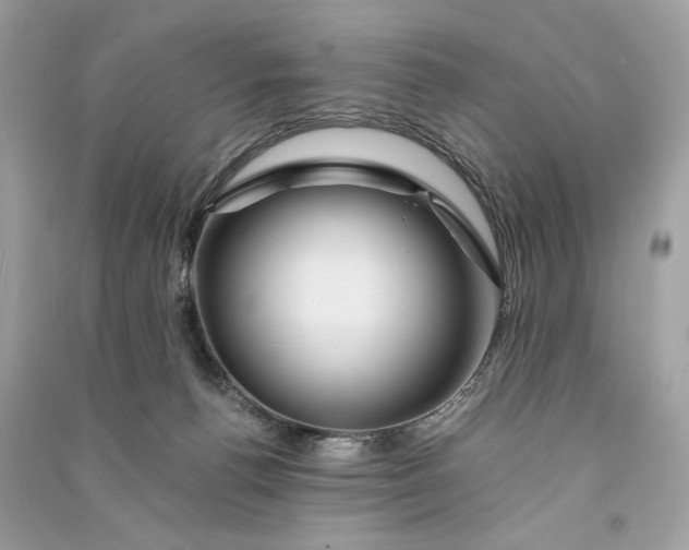 X0000090760176200708101755