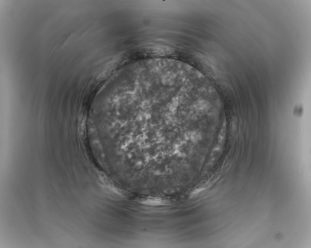 X0000090760177200708101756