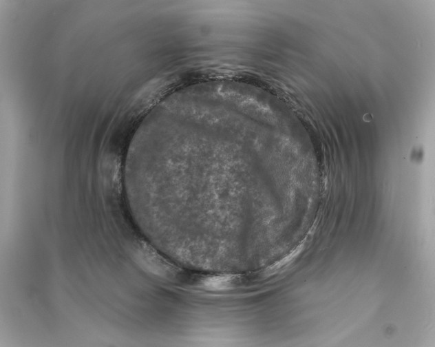 X0000090760178200708101756