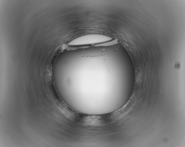 X0000090760179200708101756