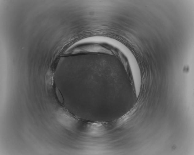 X0000090760180200708101756