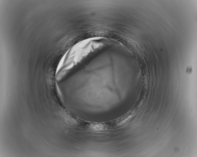 X0000090760181200708101756