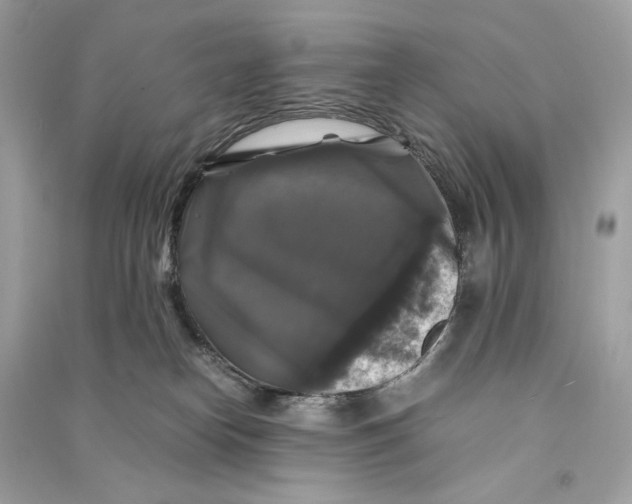 X0000090760182200708101756