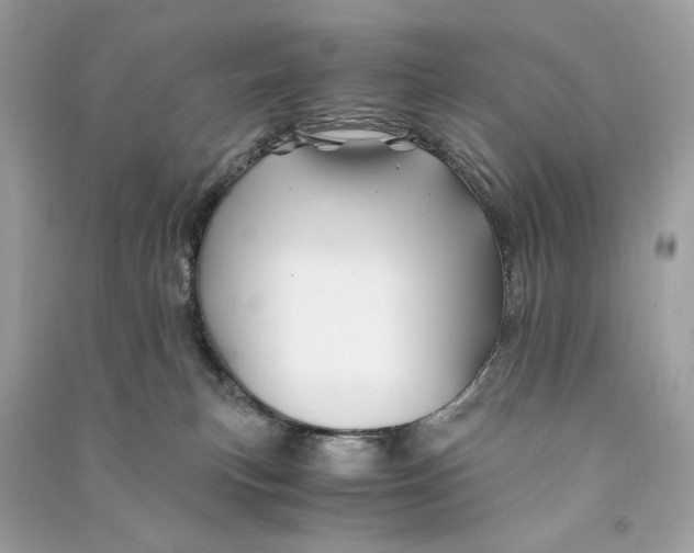 X0000090760183200708101756