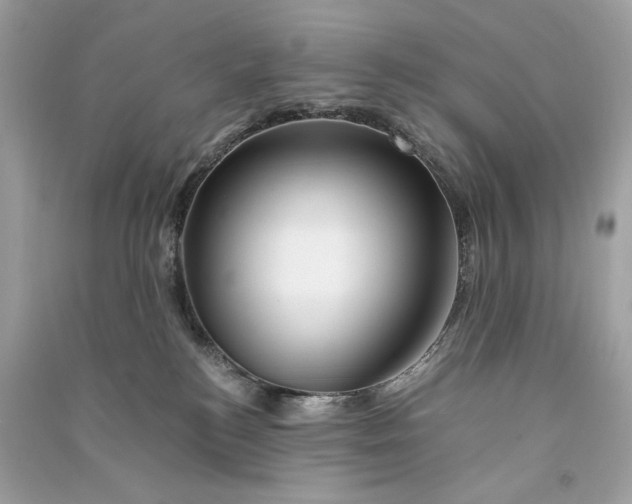 X0000090760184200708101756