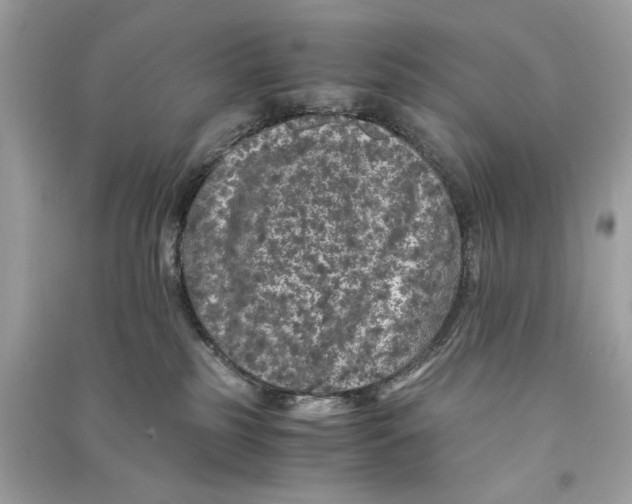 X0000090760185200708101756