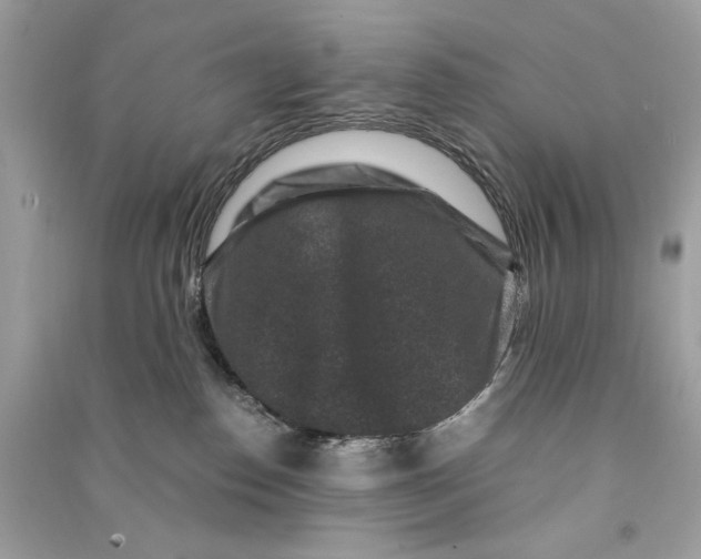 X0000090760186200708101756