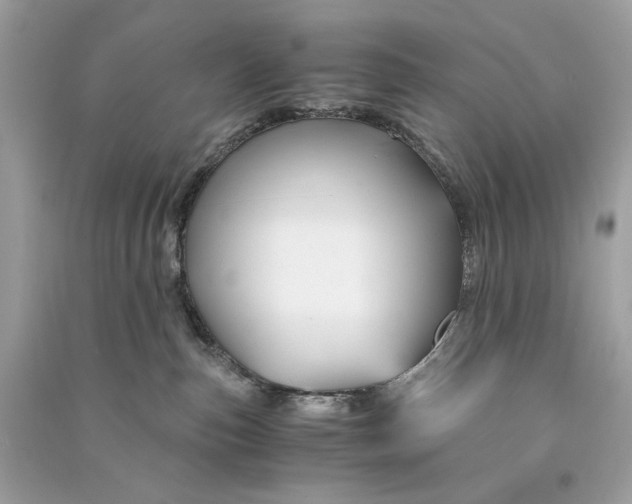 X0000090760187200708101756