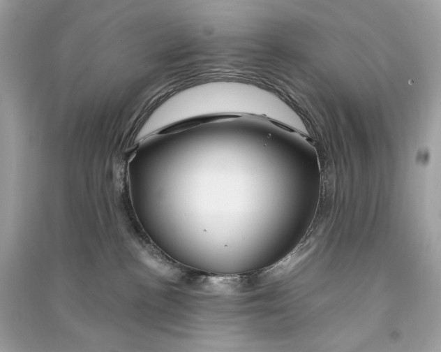 X0000090760188200708101756