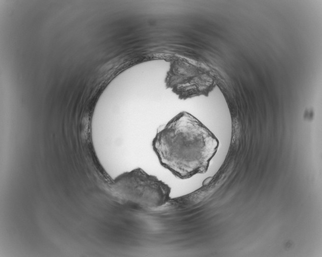 X0000090760189200708101756