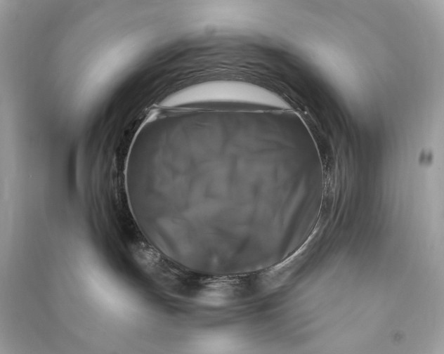 X0000090760191200708101756