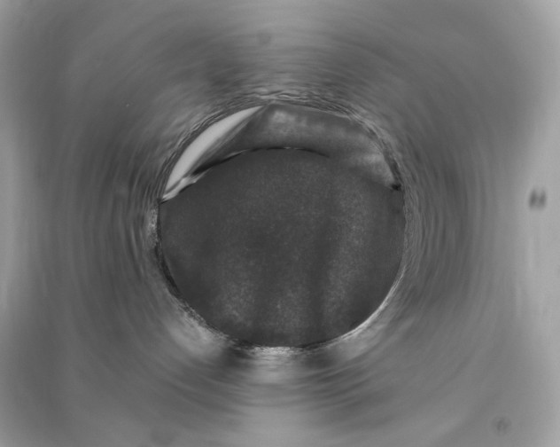 X0000090760192200708101756