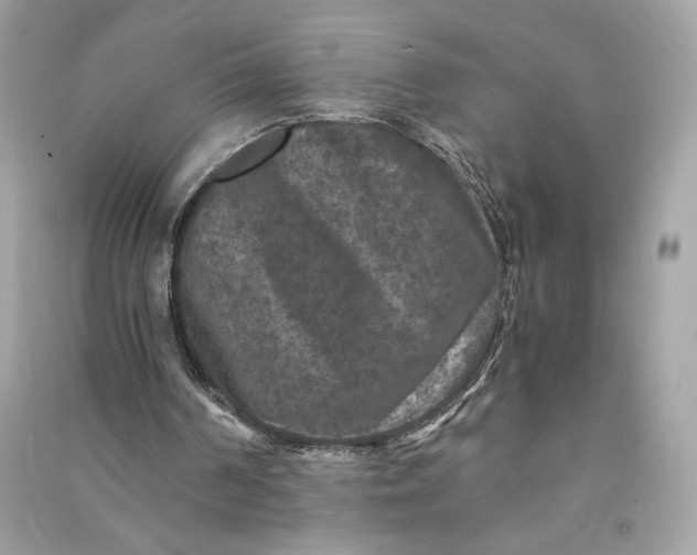 X0000090760194200708101755