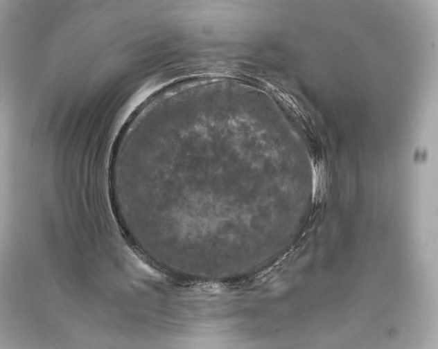 X0000090760195200708101755