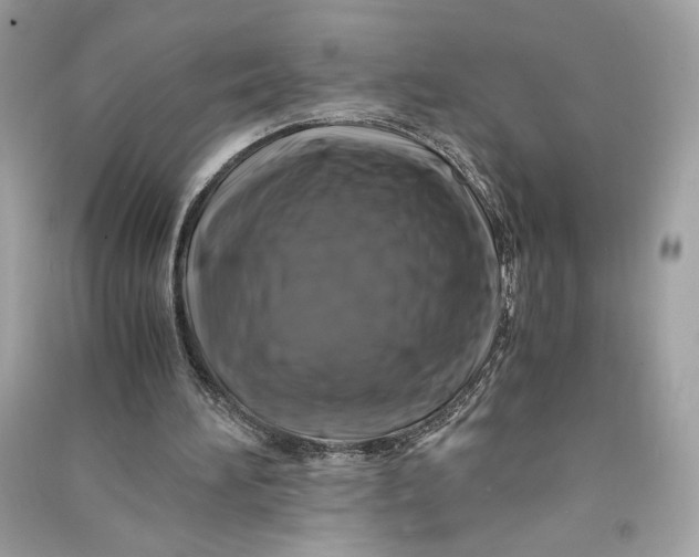 X0000090760196200708101755