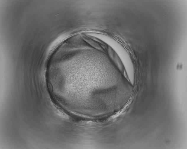 X0000090760197200708101755