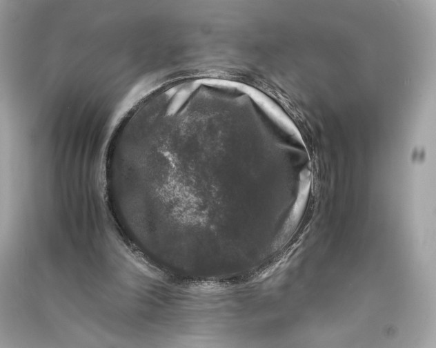 X0000090760198200708101755