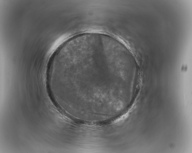 X0000090760199200708101755