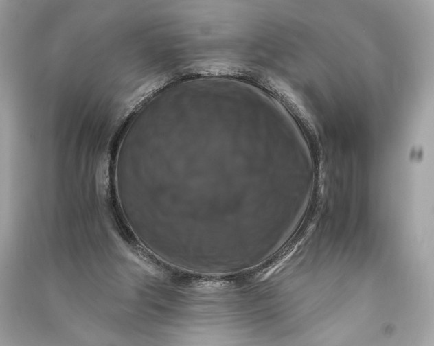 X0000090760202200708101755