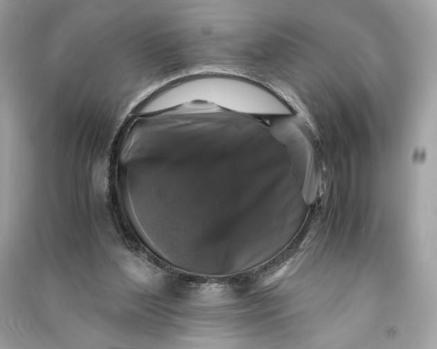 X0000090760204200708101755