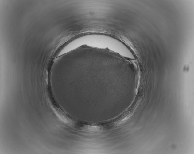 X0000090760205200708101755