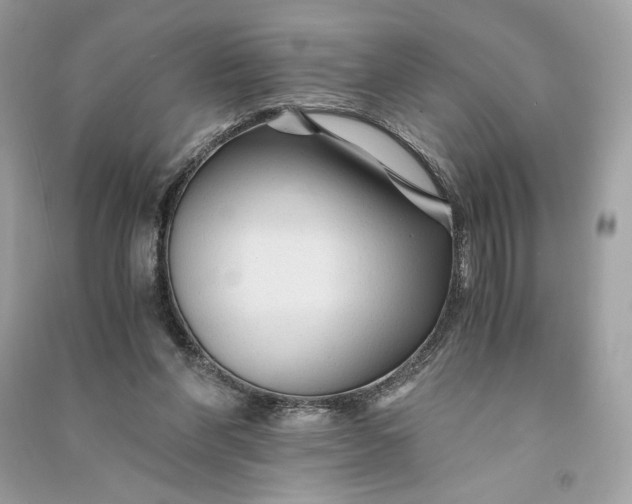 X0000090760206200708101755