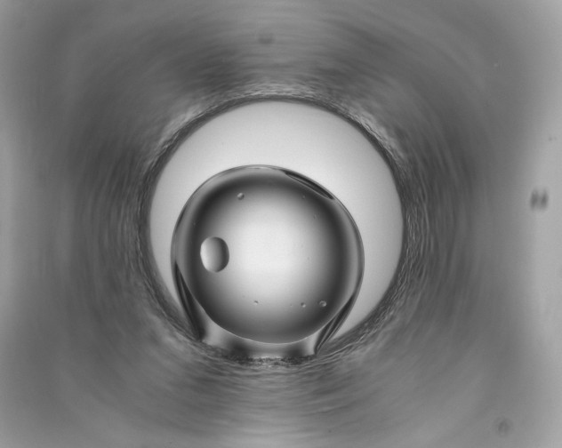 X0000090760207200708101755