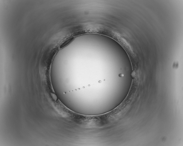 X0000090760209200708101755