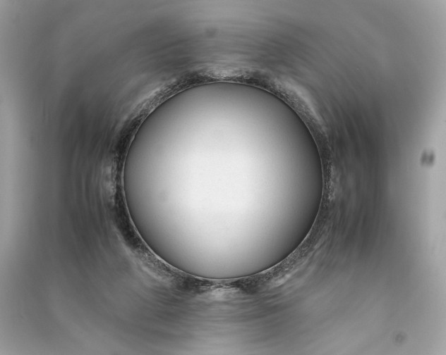 X0000090760210200708101755