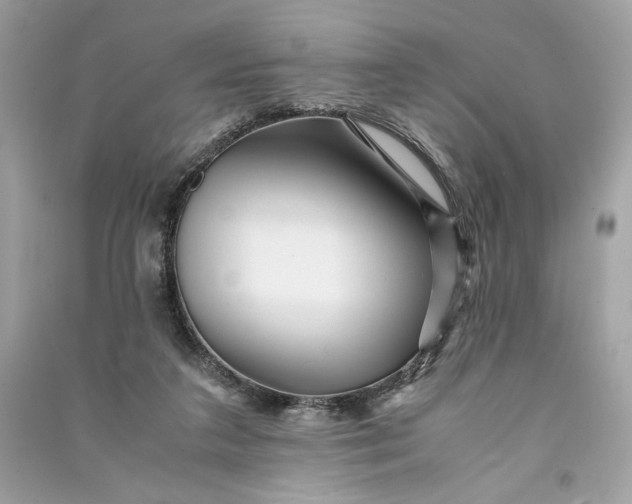 X0000090760211200708101755