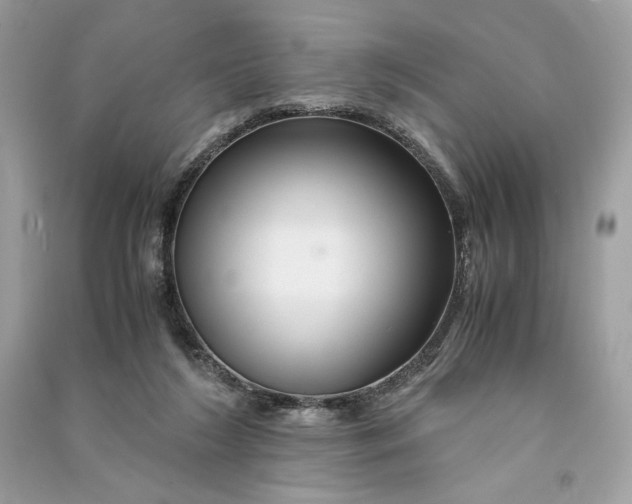 X0000090760212200708101755