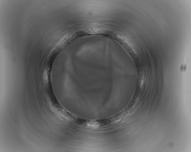 X0000090760214200708101755