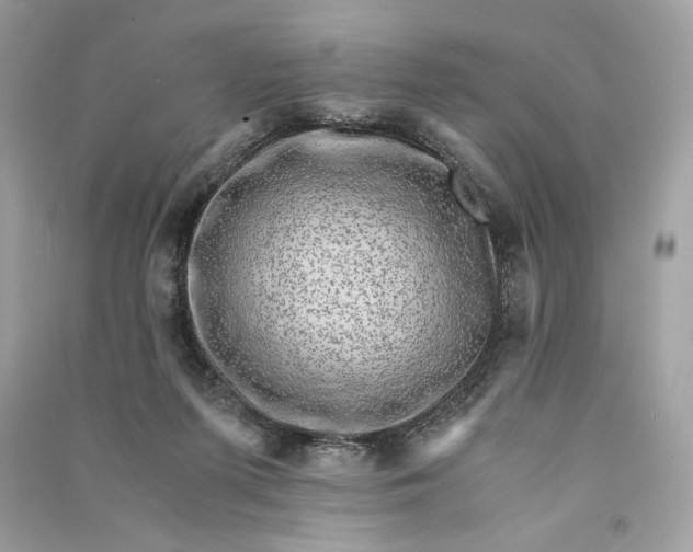 X0000090760215200708101755