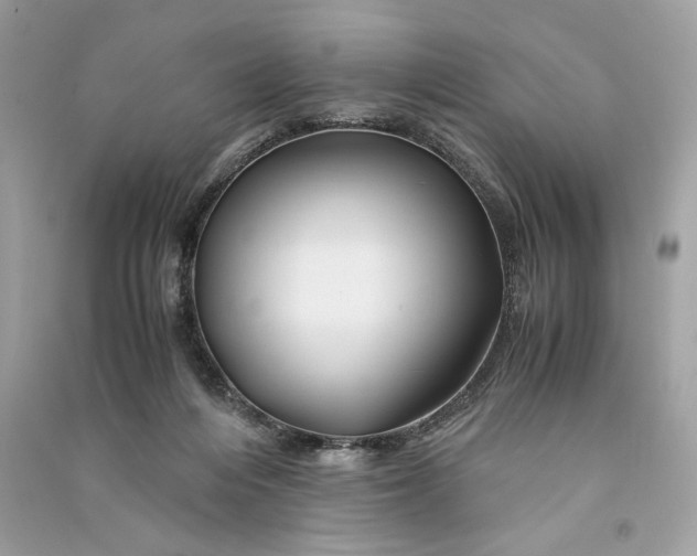 X0000090760216200708101755