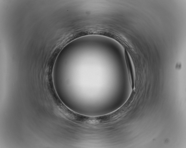 X0000090760217200708101755