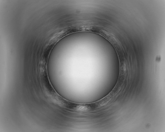 X0000090760218200708101755