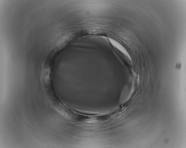 X0000090760219200708101755