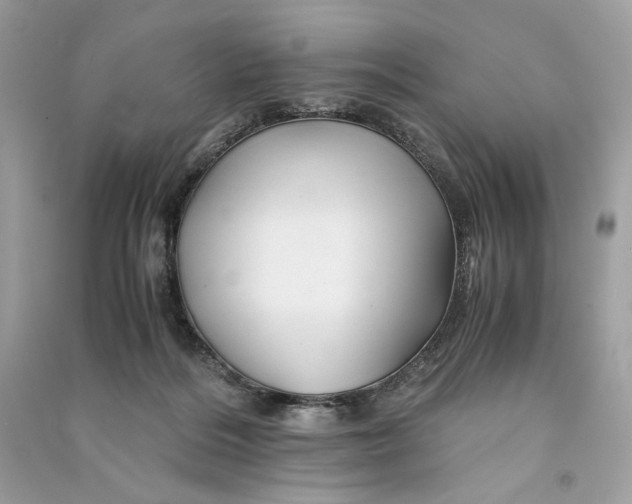 X0000090760220200708101755