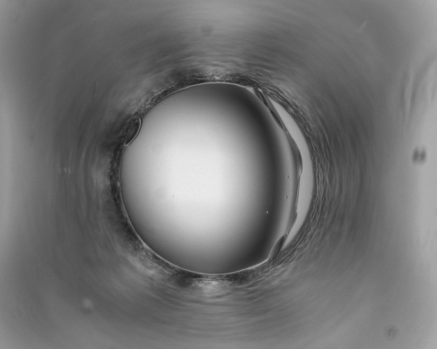 X0000090760221200708101754