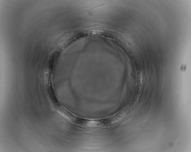 X0000090760222200708101754