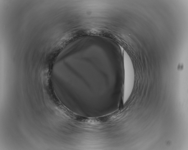 X0000090760223200708101754