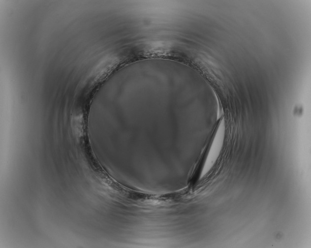 X0000090760224200708101754