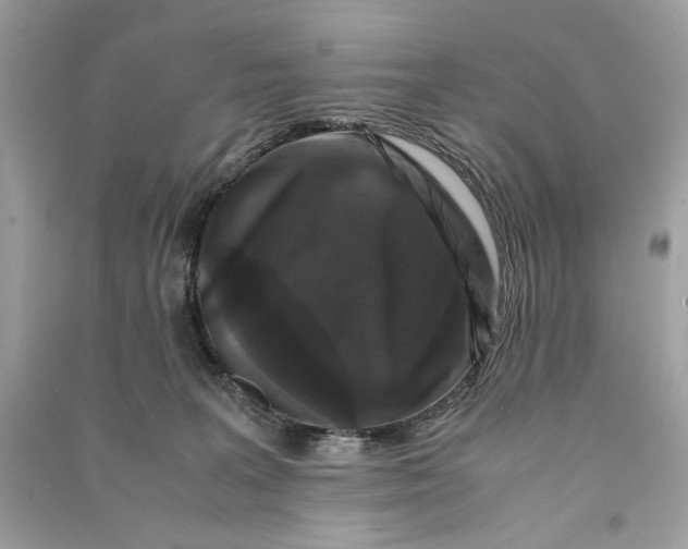 X0000090760227200708101754